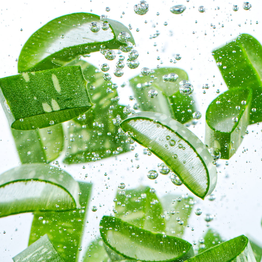 What Makes Our Fermented Aloe Different From Regular Aloe?