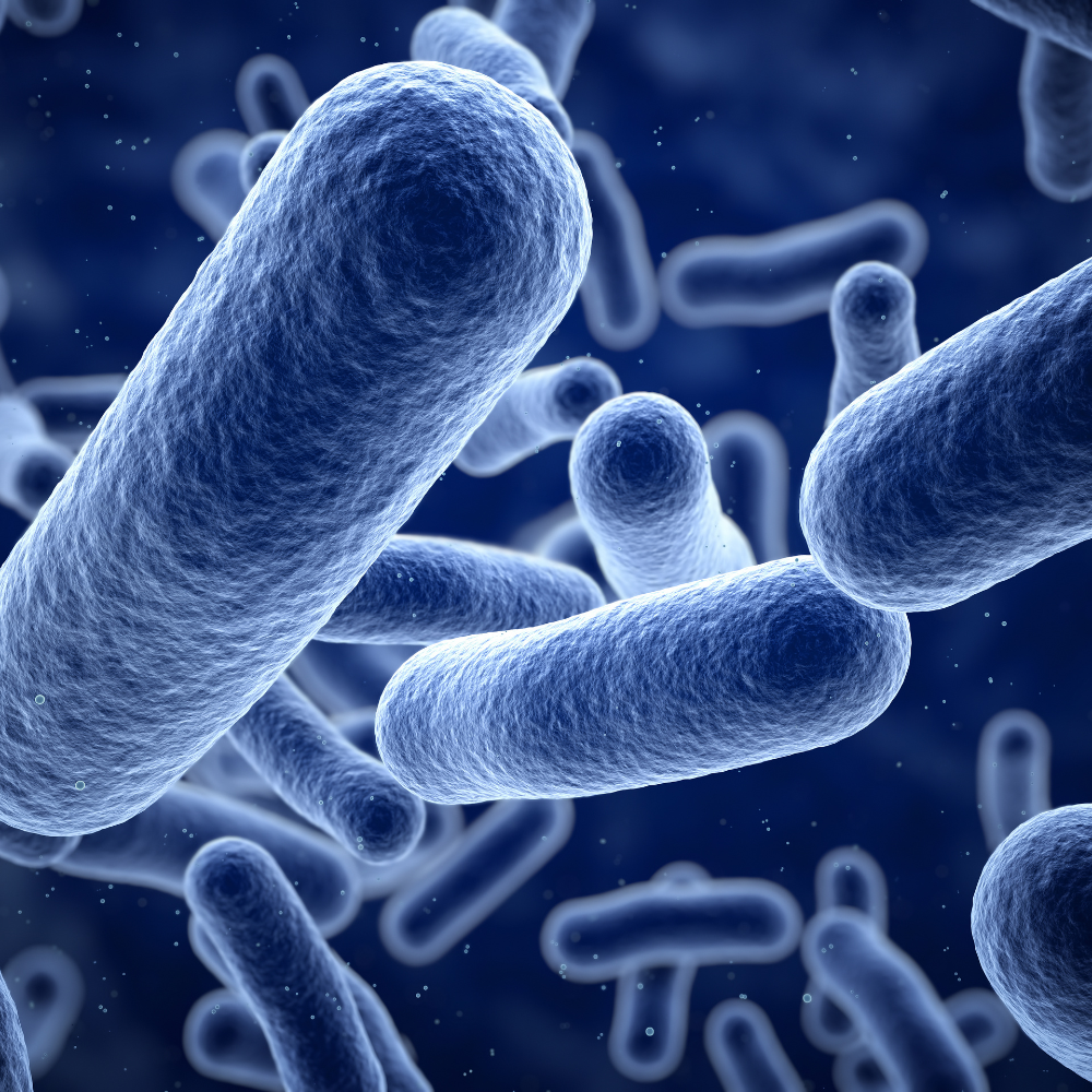 Myth: You Need to Kill All Bacteria to Get Clear Skin