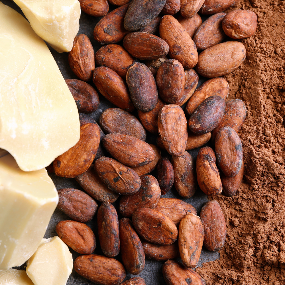 Cocoa Butter in Skincare: The Art of Comfort, Care, and Restoration