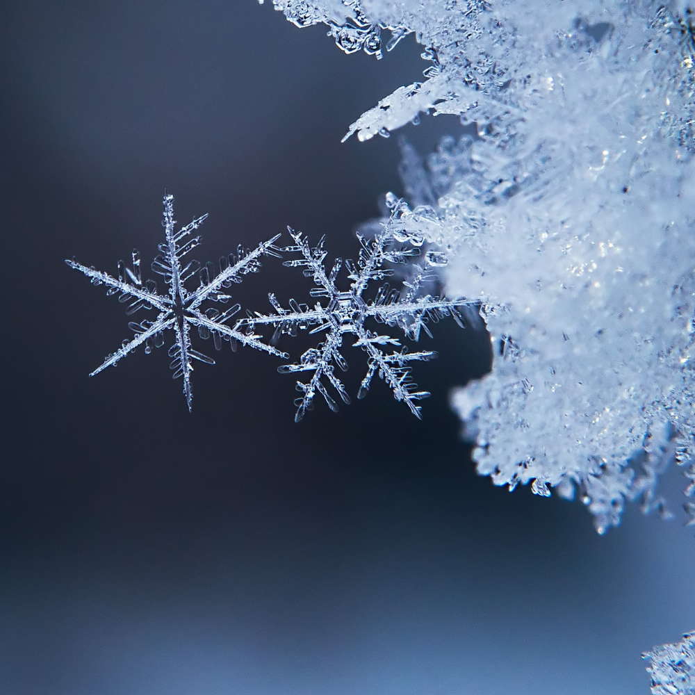 Winter Skin Survival: Why Your Complexion Feels Different in Cooler Weather